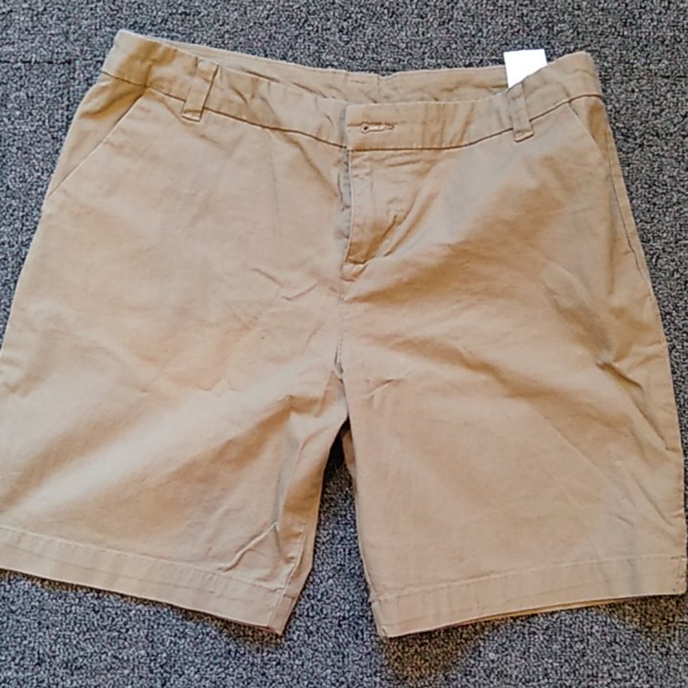 Patagonia Shorts